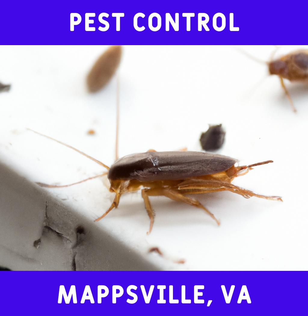 pest control in Mappsville Virginia