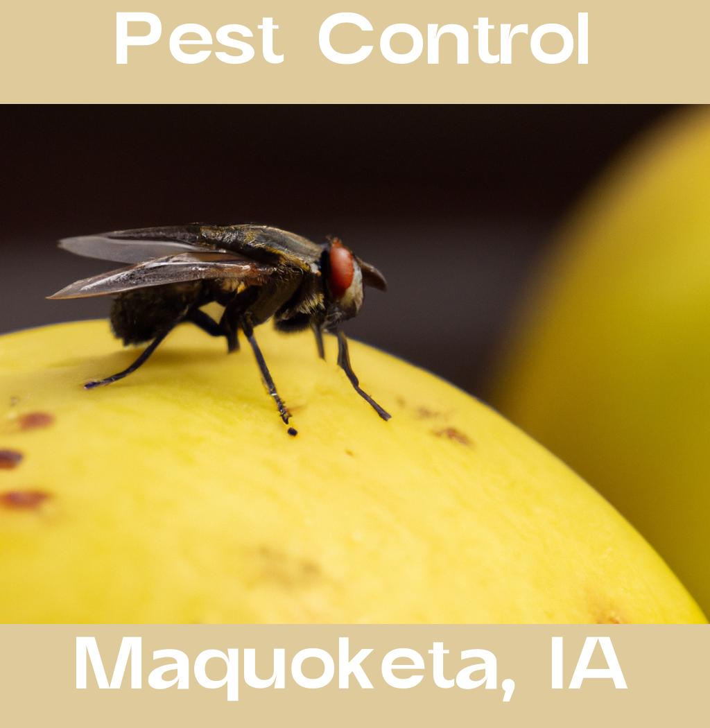 pest control in Maquoketa Iowa