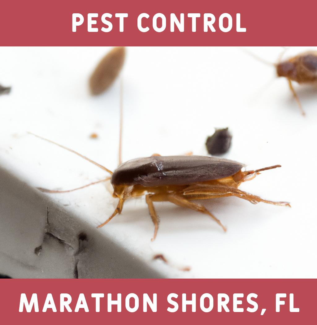 pest control in Marathon Shores Florida