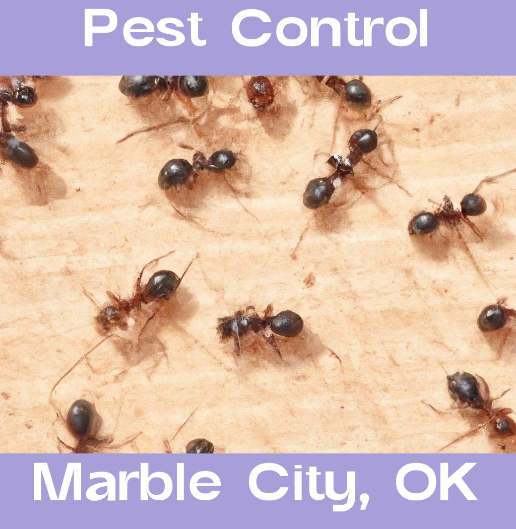 pest control in Marble City Oklahoma