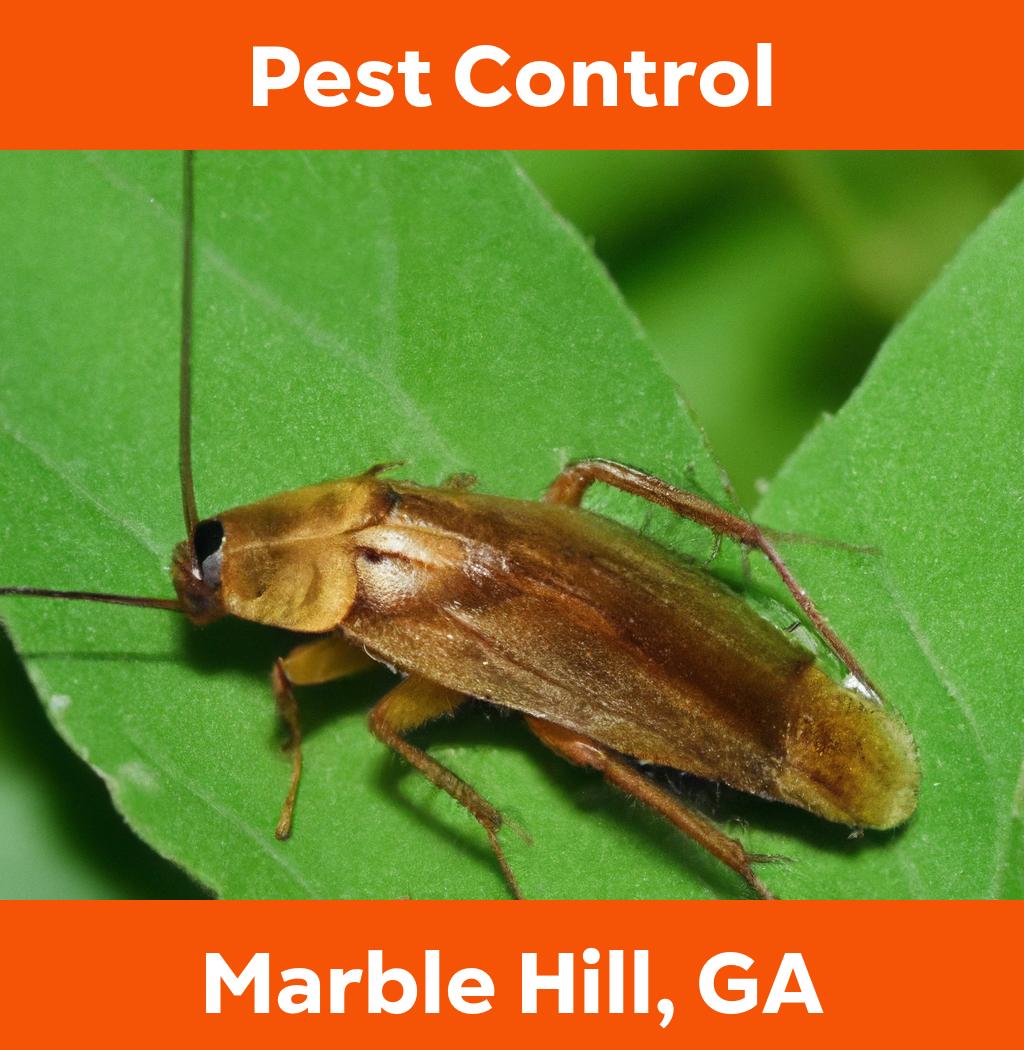 pest control in Marble Hill Georgia