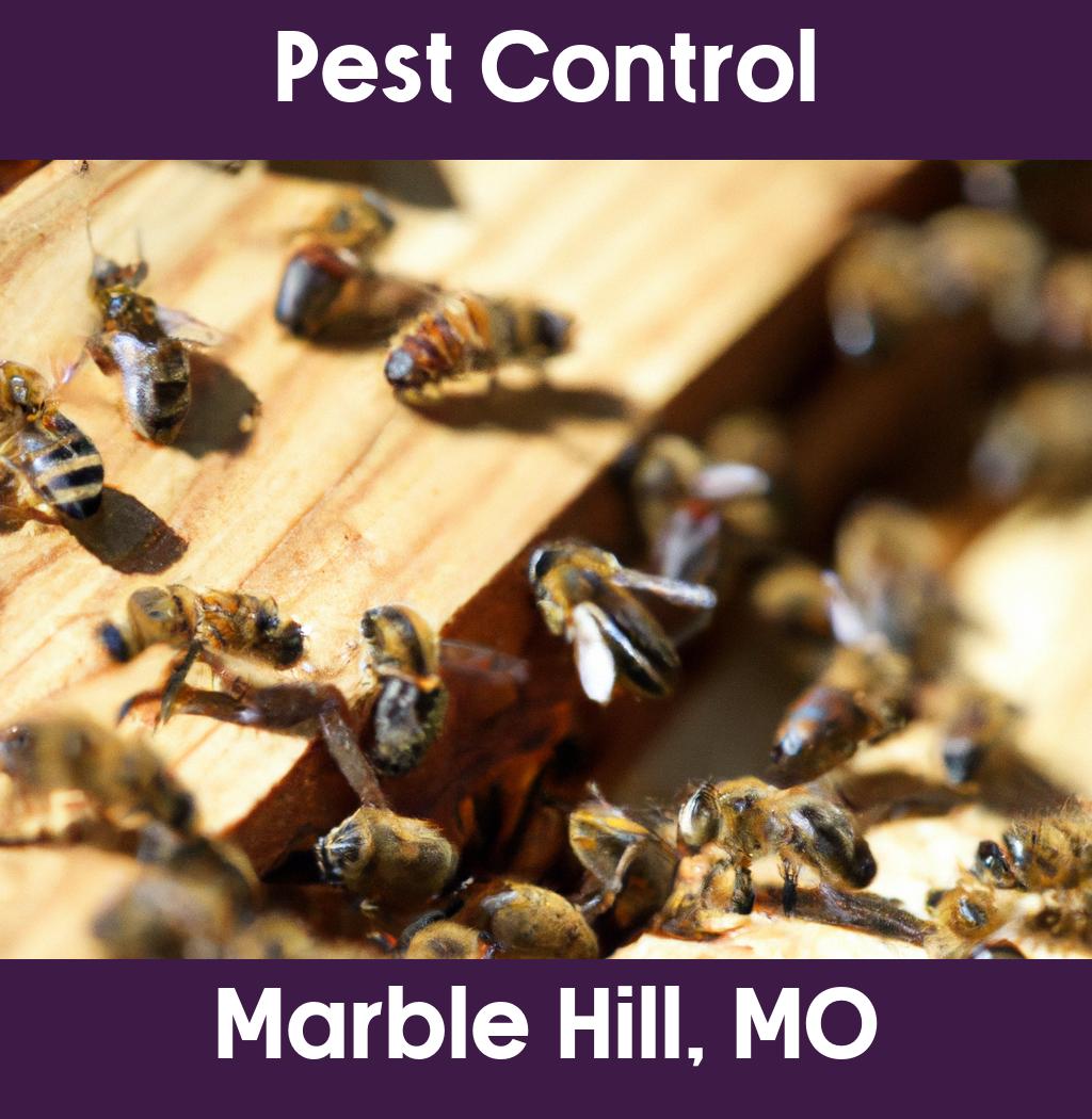 pest control in Marble Hill Missouri
