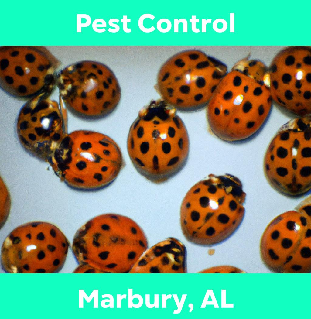 pest control in Marbury Alabama