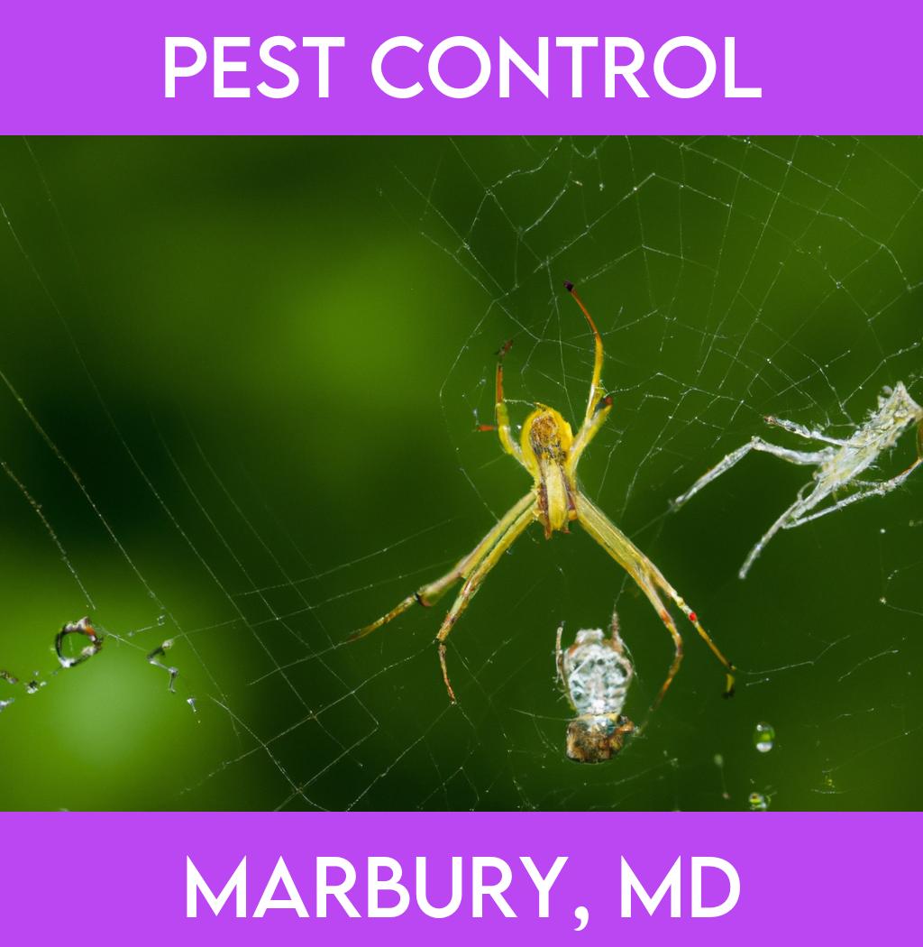 pest control in Marbury Maryland