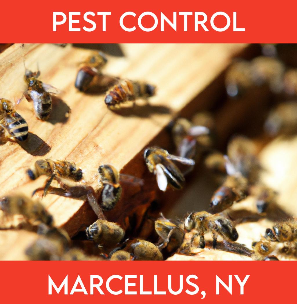 pest control in Marcellus New York