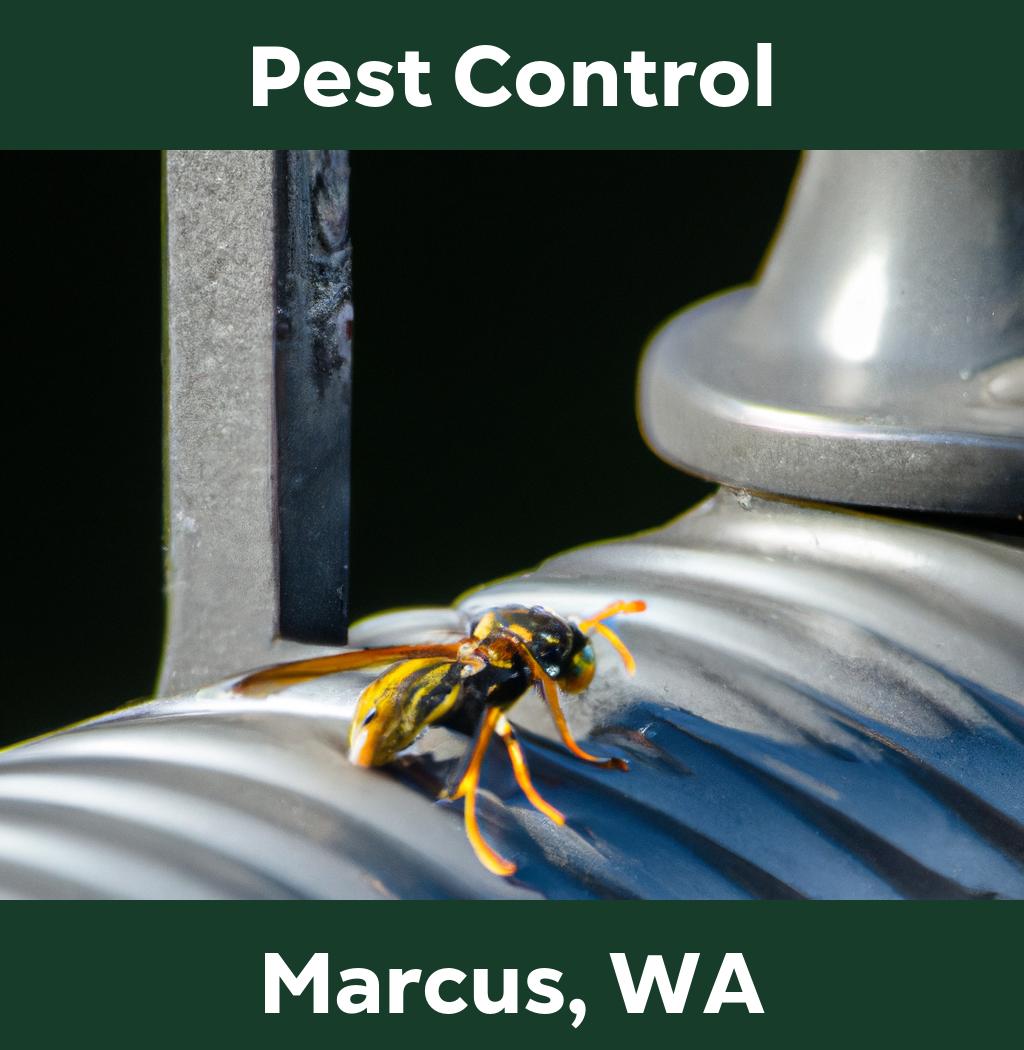 pest control in Marcus Washington
