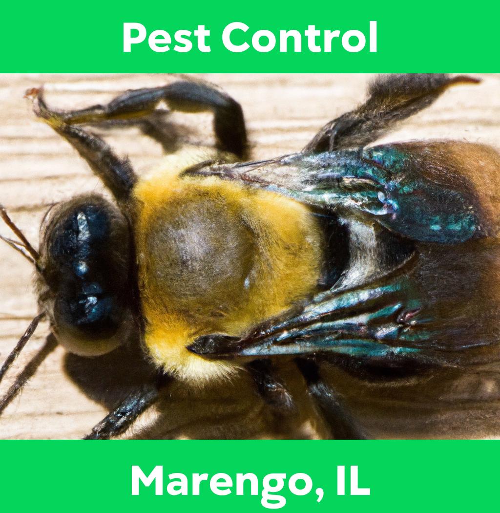 pest control in Marengo Illinois