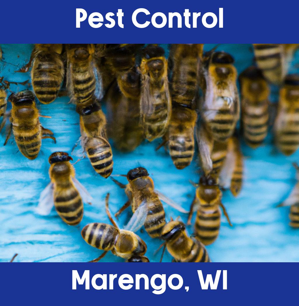 pest control in Marengo Wisconsin