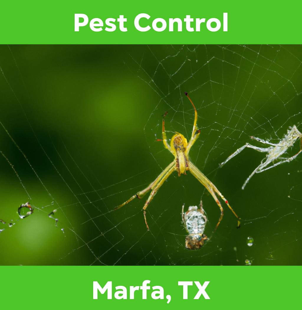 pest control in Marfa Texas