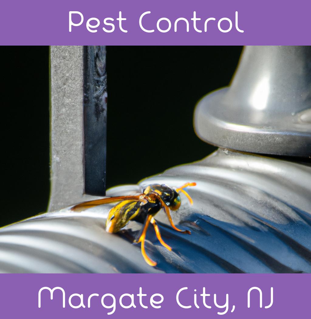 pest control in Margate City New Jersey