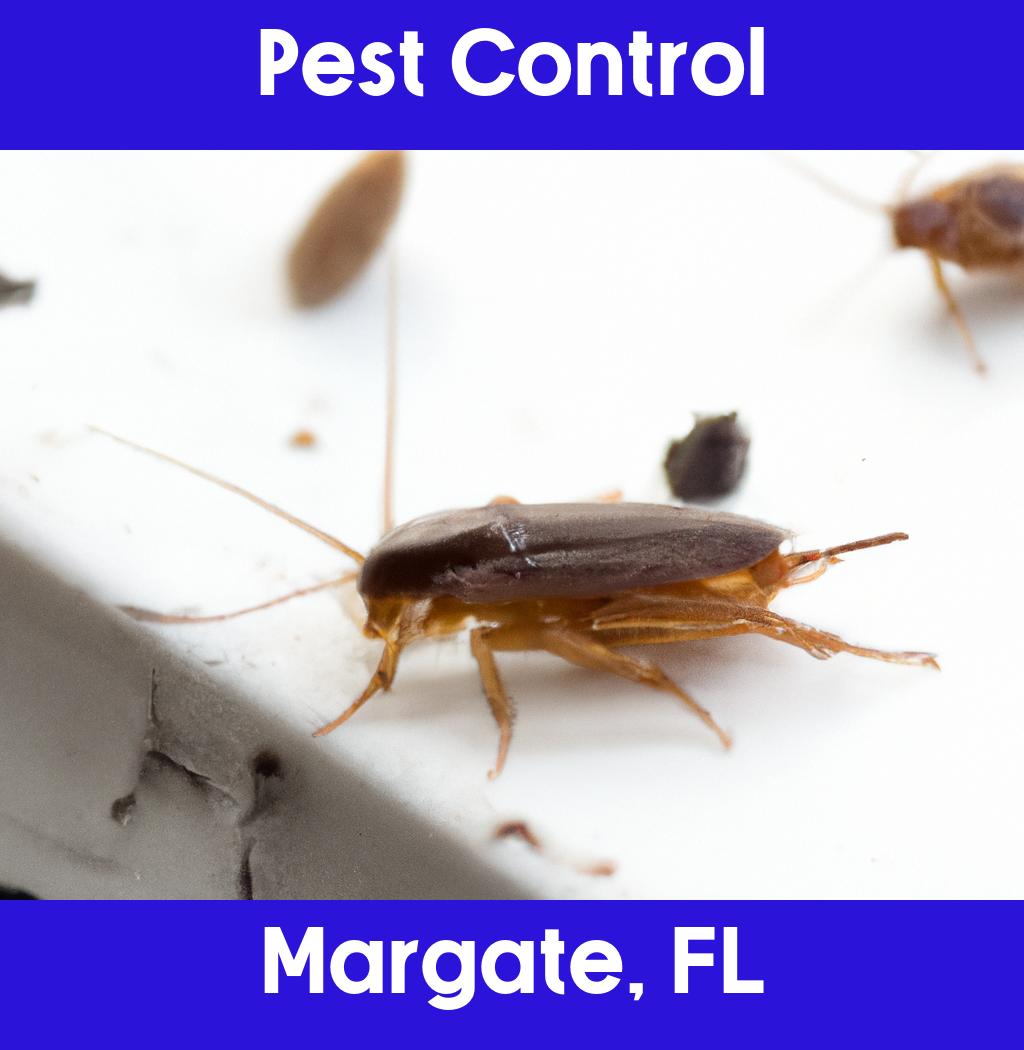 pest control in Margate Florida