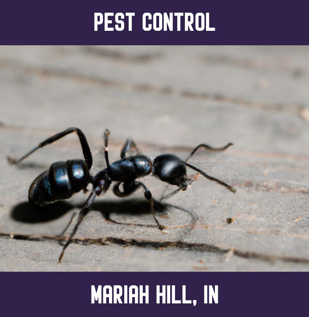 pest control in Mariah Hill Indiana