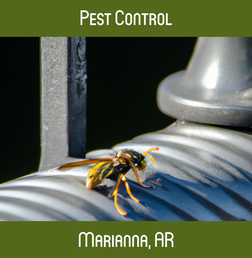 pest control in Marianna Arkansas