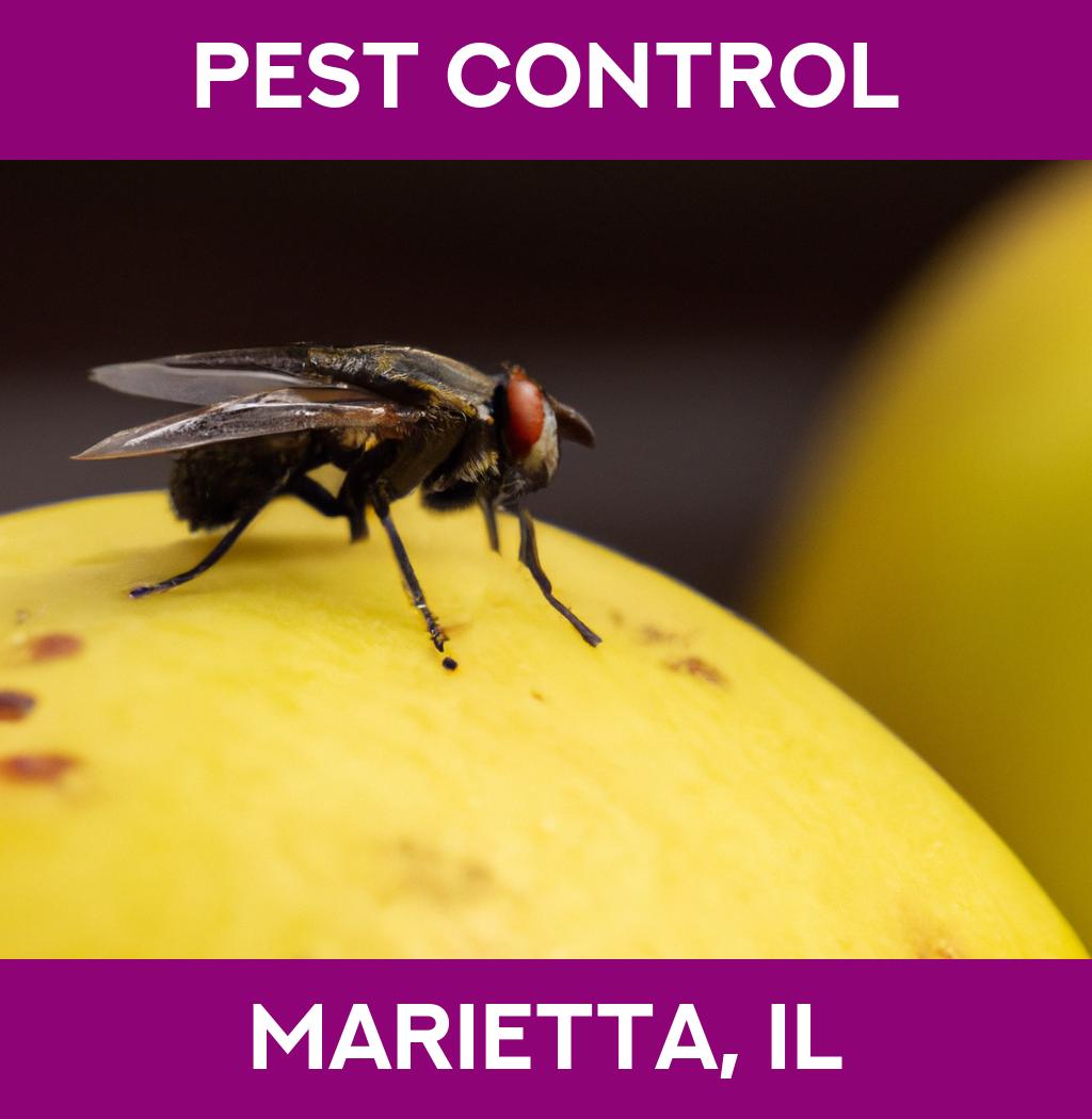 pest control in Marietta Illinois