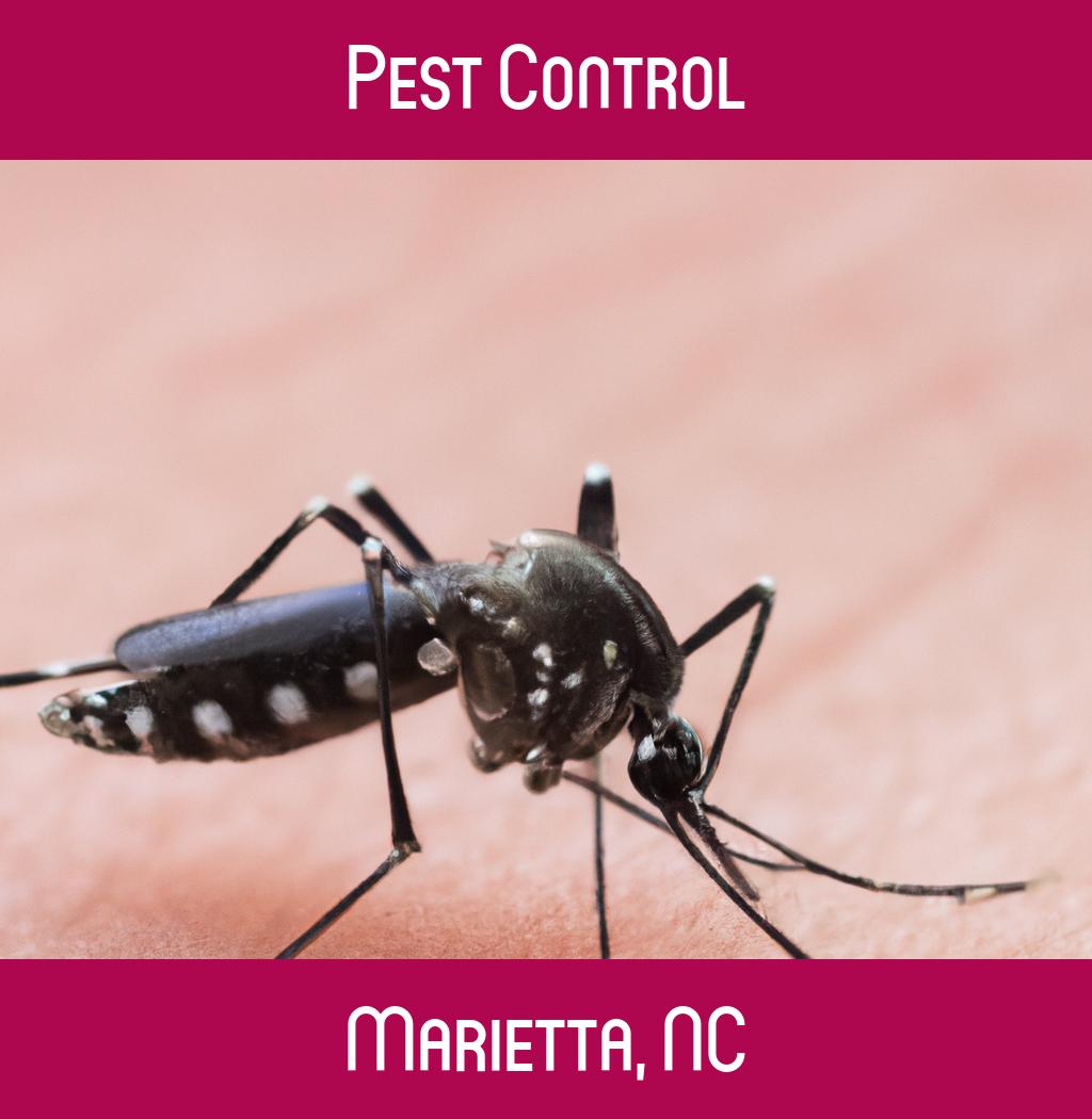 pest control in Marietta North Carolina