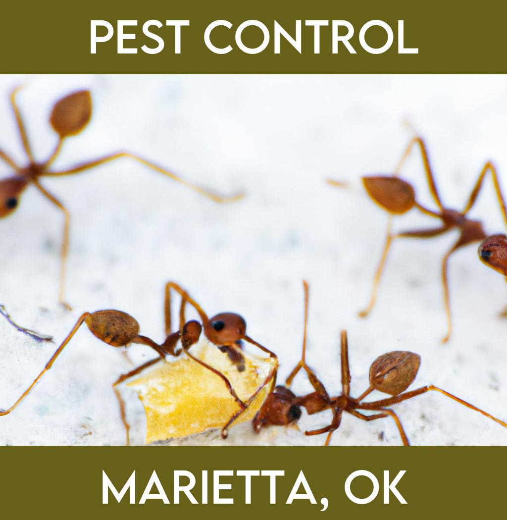 pest control in Marietta Oklahoma