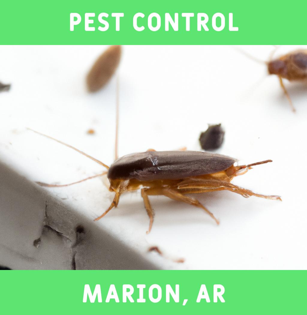 pest control in Marion Arkansas