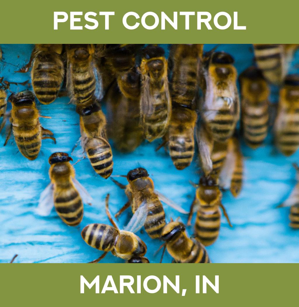 pest control in Marion Indiana