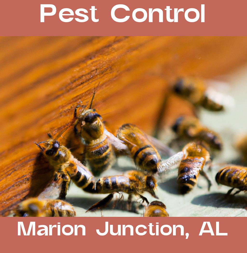 pest control in Marion Junction Alabama