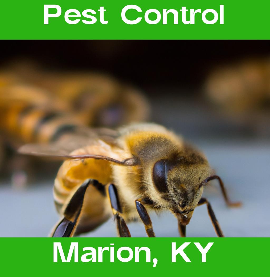 pest control in Marion Kentucky