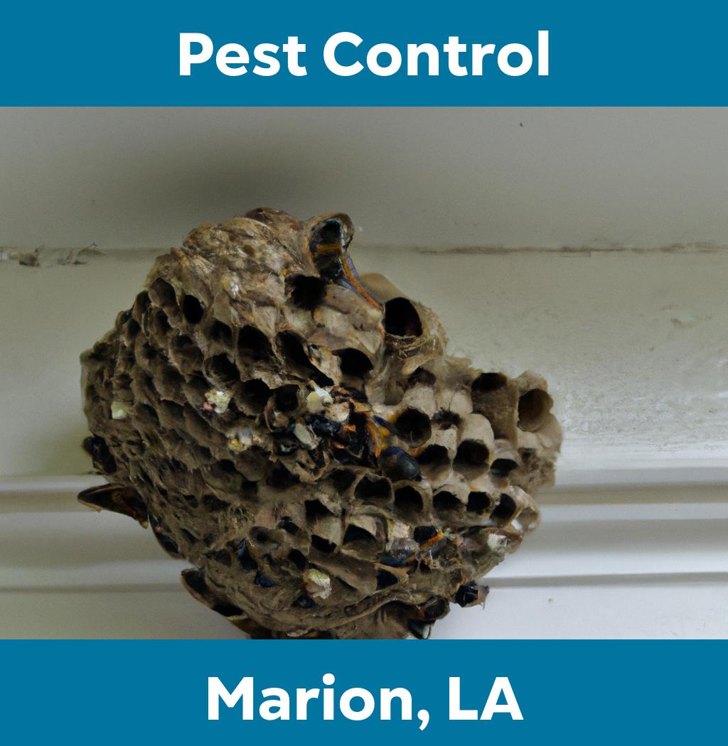 pest control in Marion Louisiana