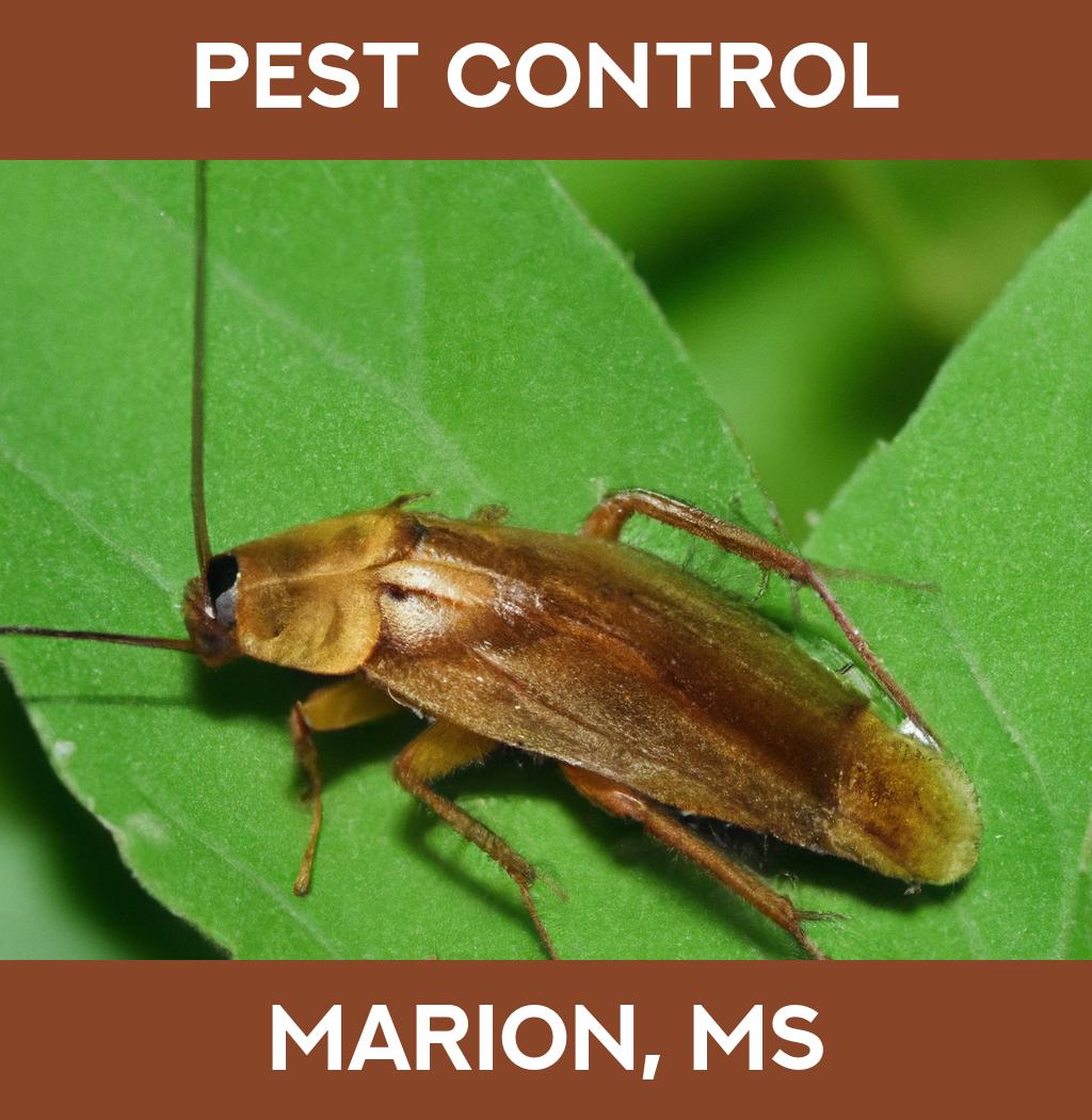 pest control in Marion Mississippi
