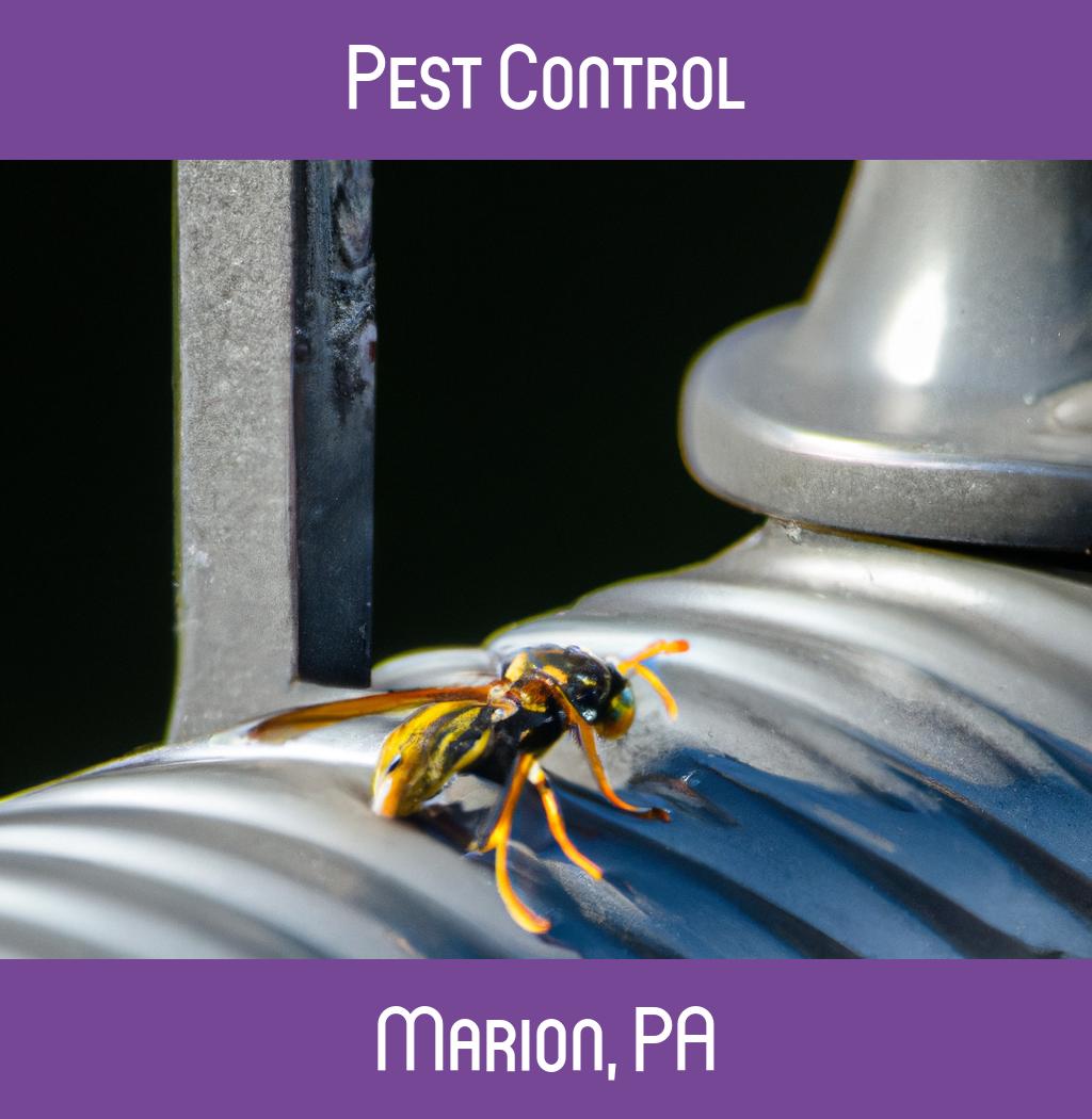 pest control in Marion Pennsylvania