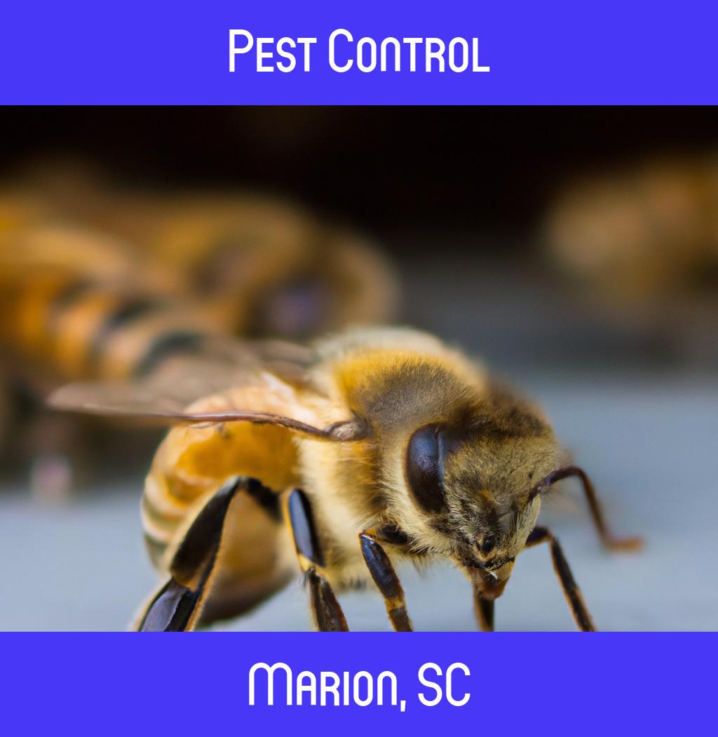 pest control in Marion South Carolina