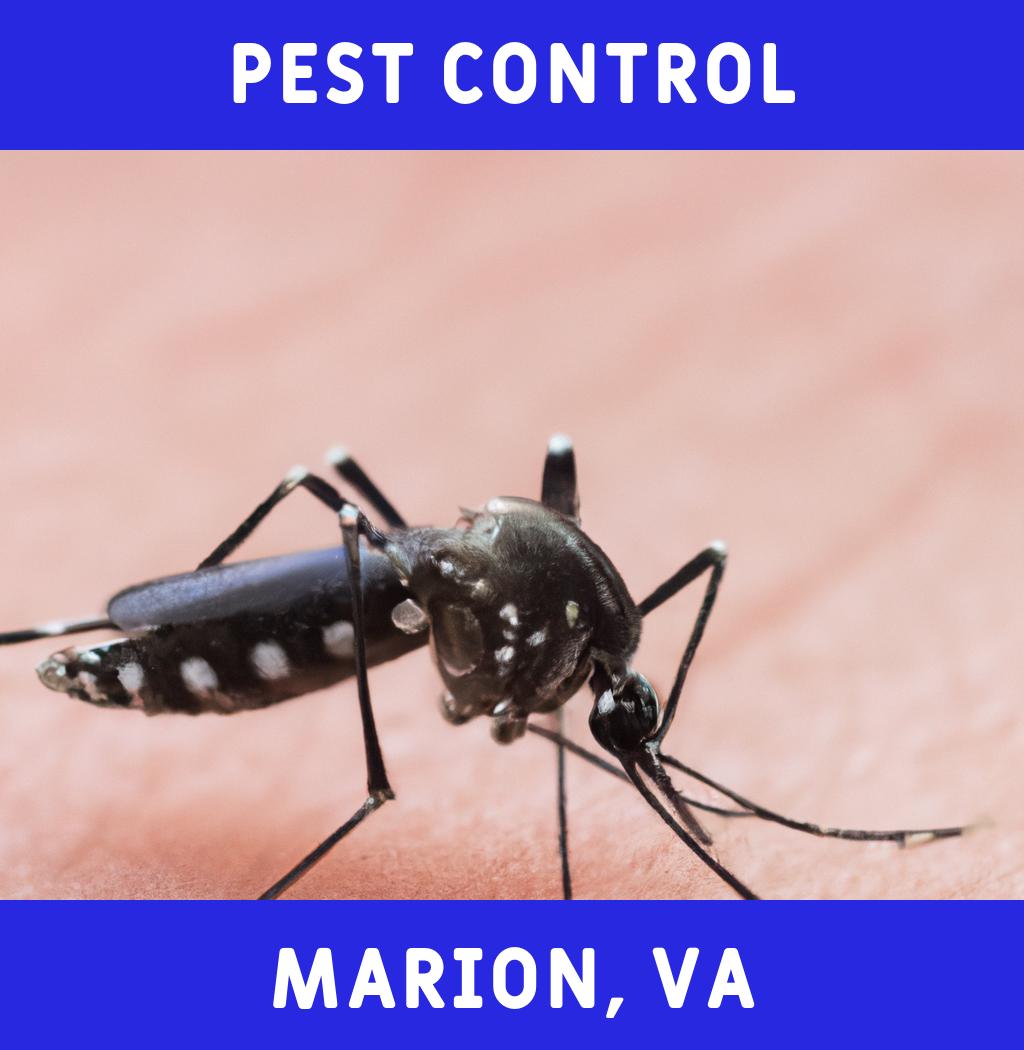 pest control in Marion Virginia