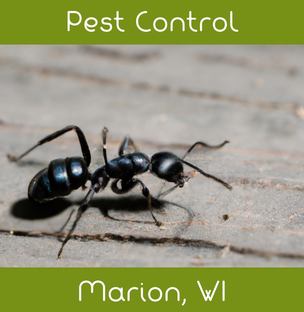 pest control in Marion Wisconsin