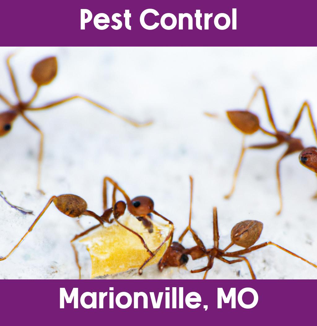pest control in Marionville Missouri