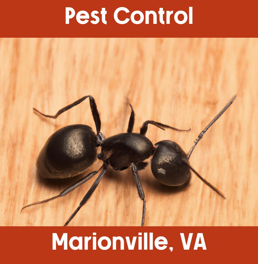 pest control in Marionville Virginia