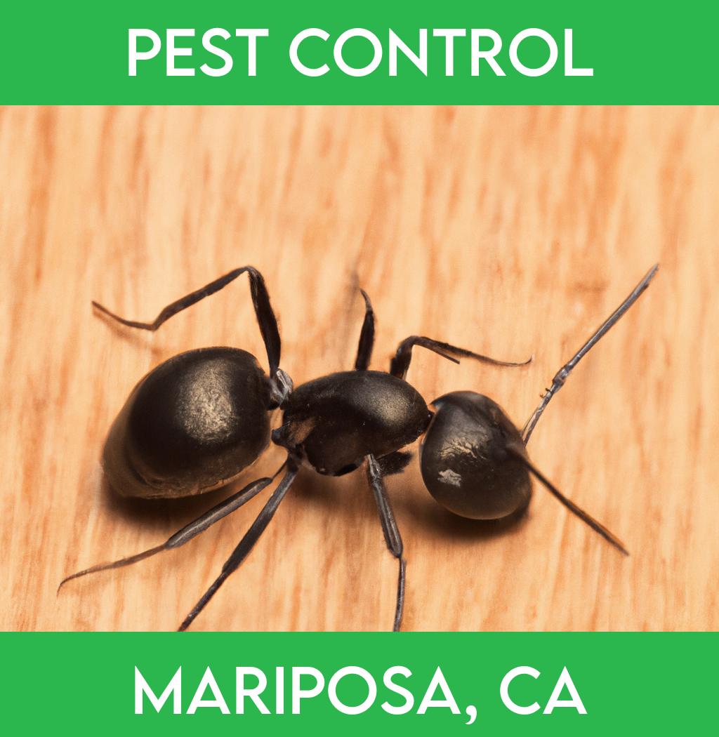 pest control in Mariposa California