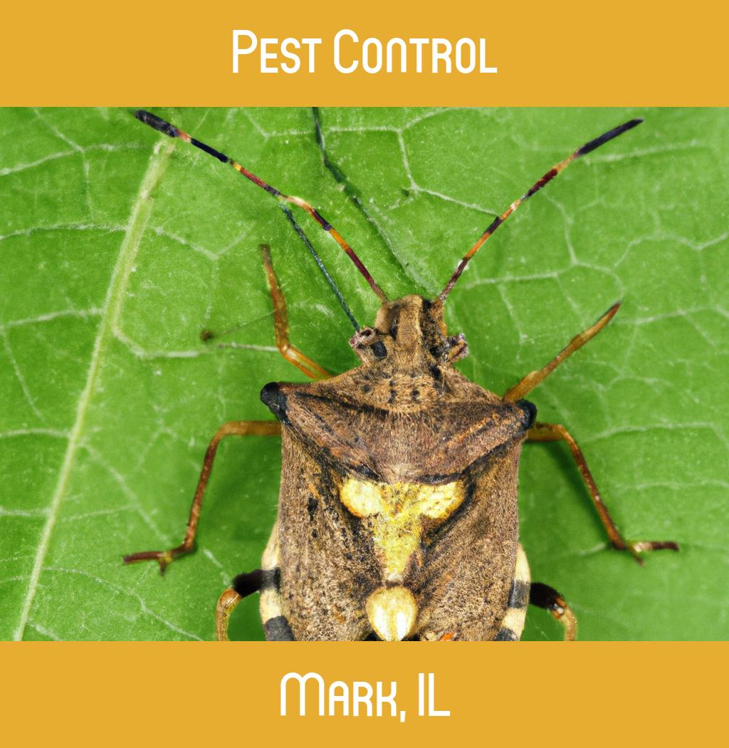 pest control in Mark Illinois