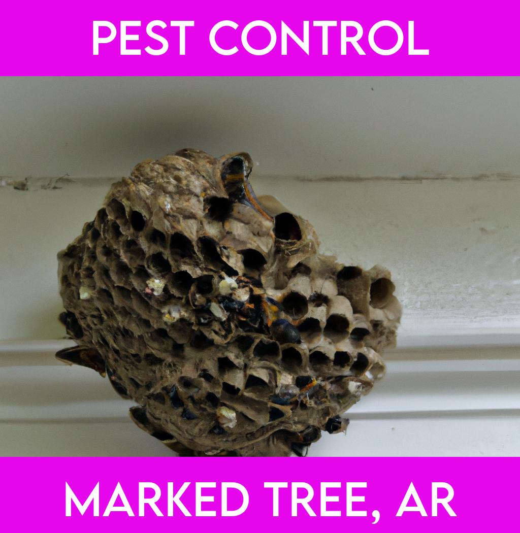 pest control in Marked Tree Arkansas