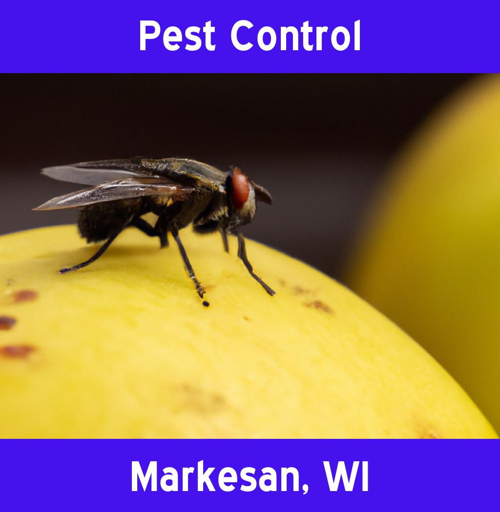 pest control in Markesan Wisconsin