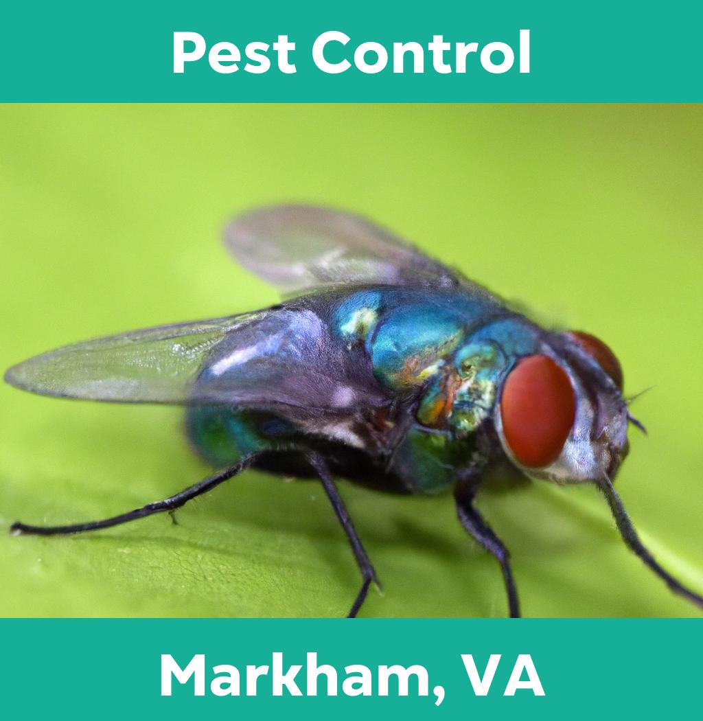 pest control in Markham Virginia