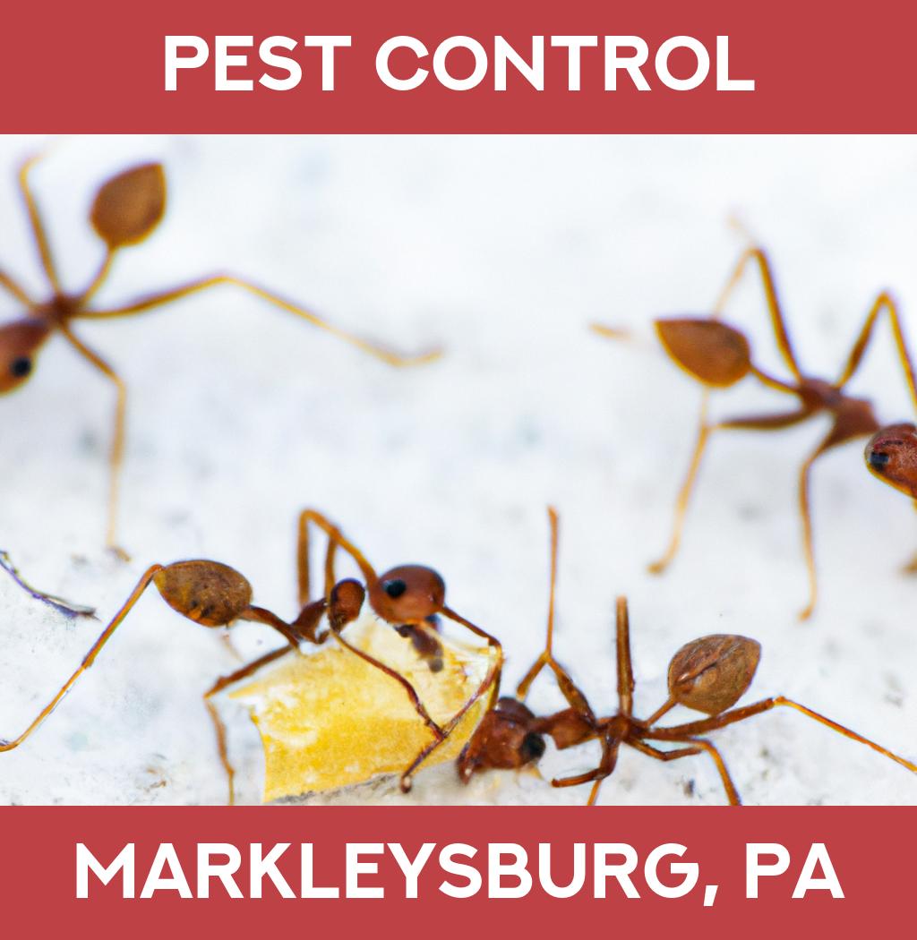pest control in Markleysburg Pennsylvania