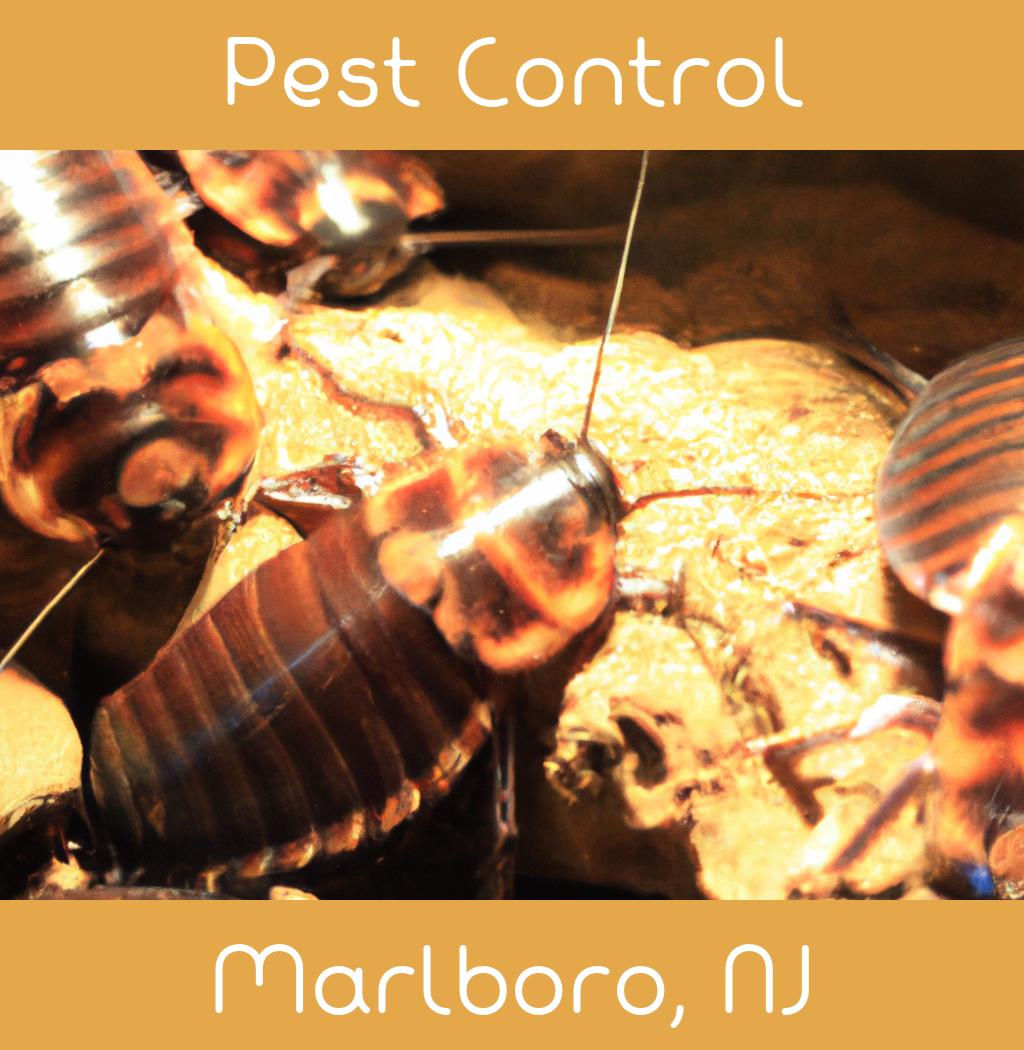 pest control in Marlboro New Jersey
