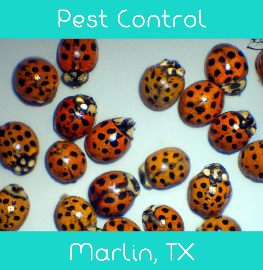 pest control in Marlin Texas