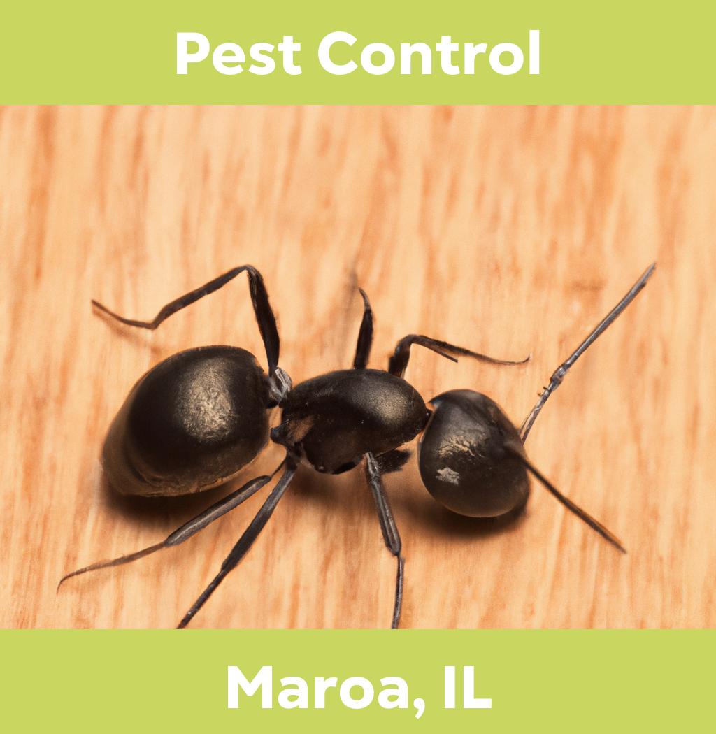 pest control in Maroa Illinois