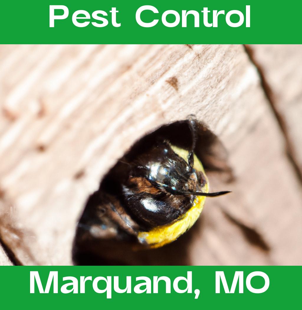 pest control in Marquand Missouri