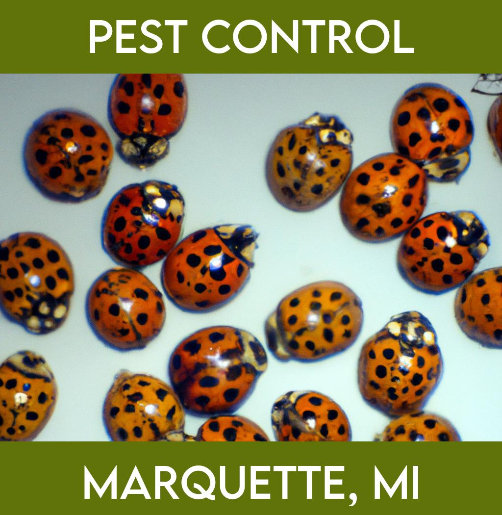 pest control in Marquette Michigan