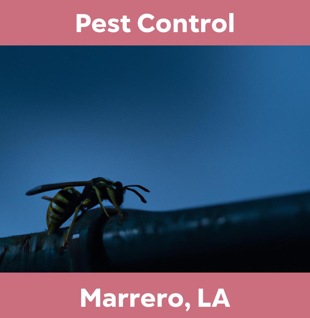 pest control in Marrero Louisiana