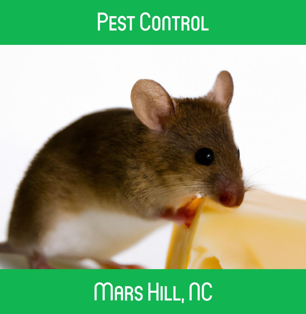 pest control in Mars Hill North Carolina