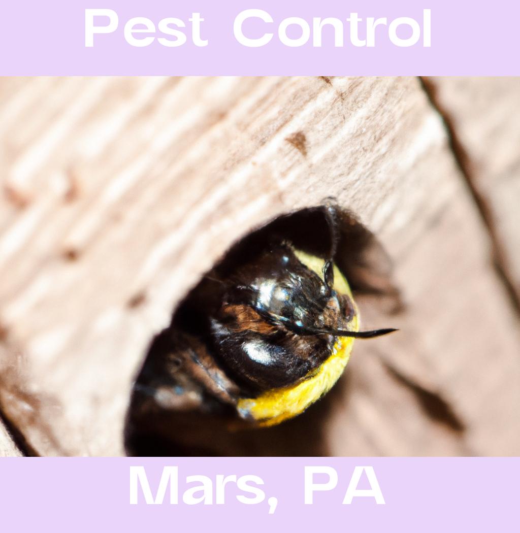 pest control in Mars Pennsylvania