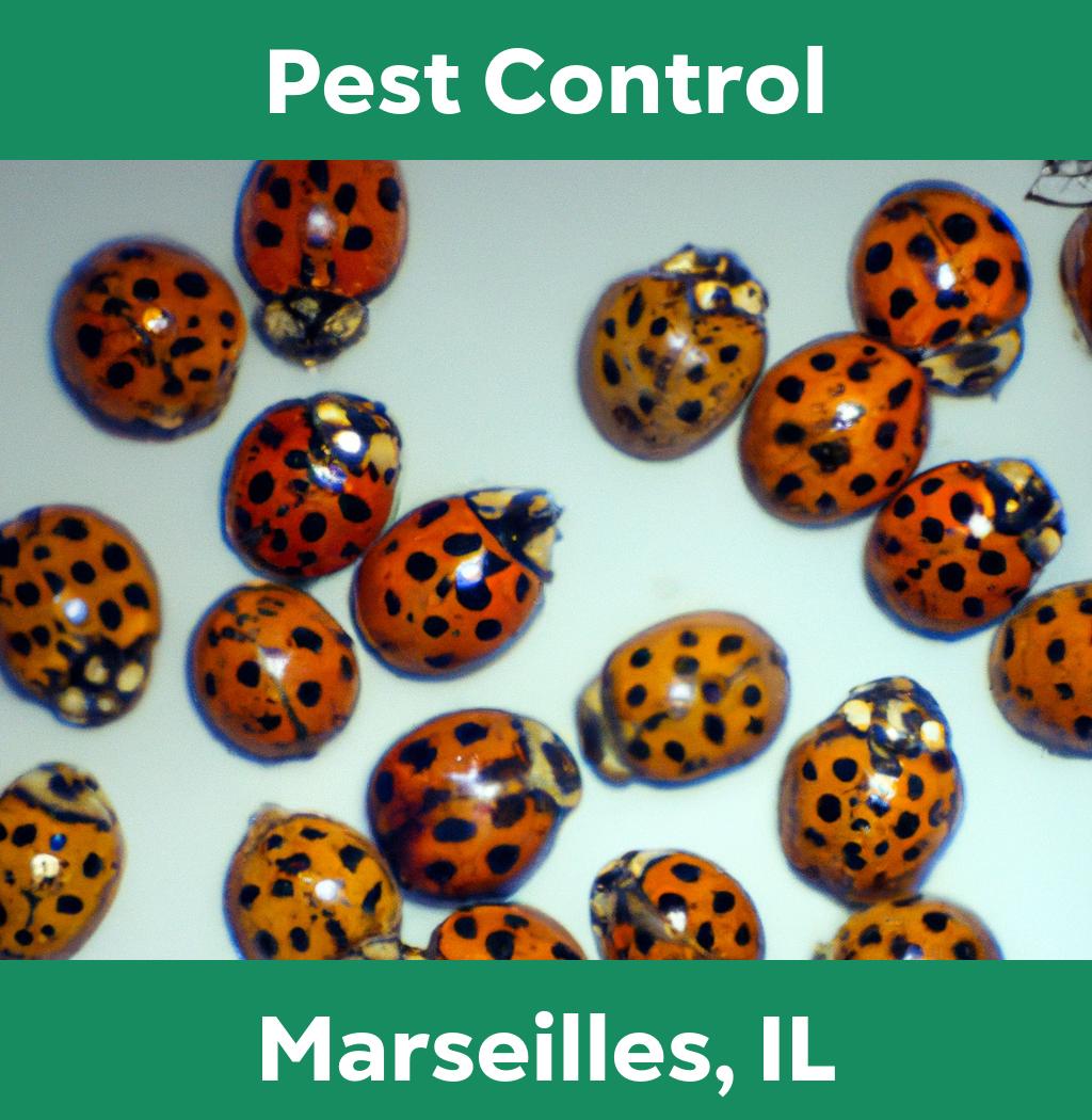 pest control in Marseilles Illinois
