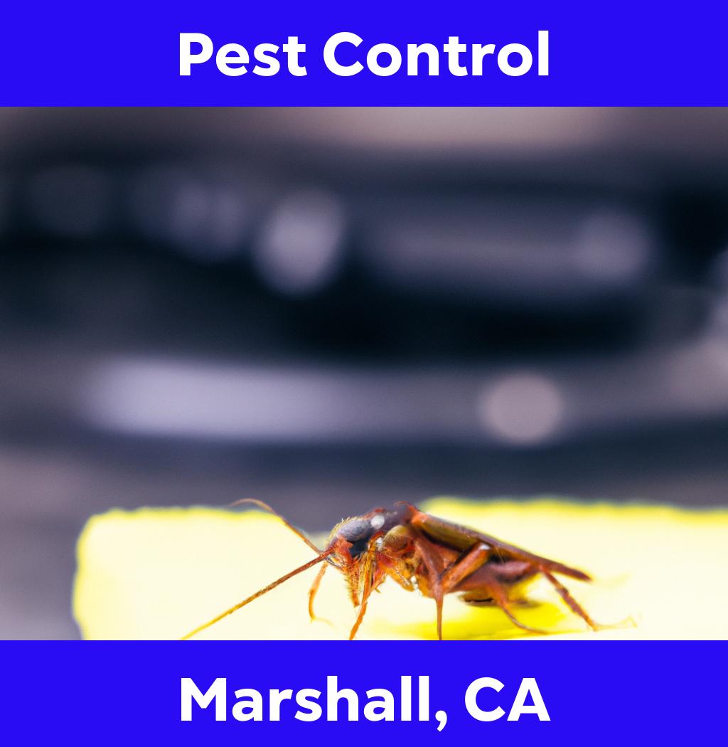 pest control in Marshall California