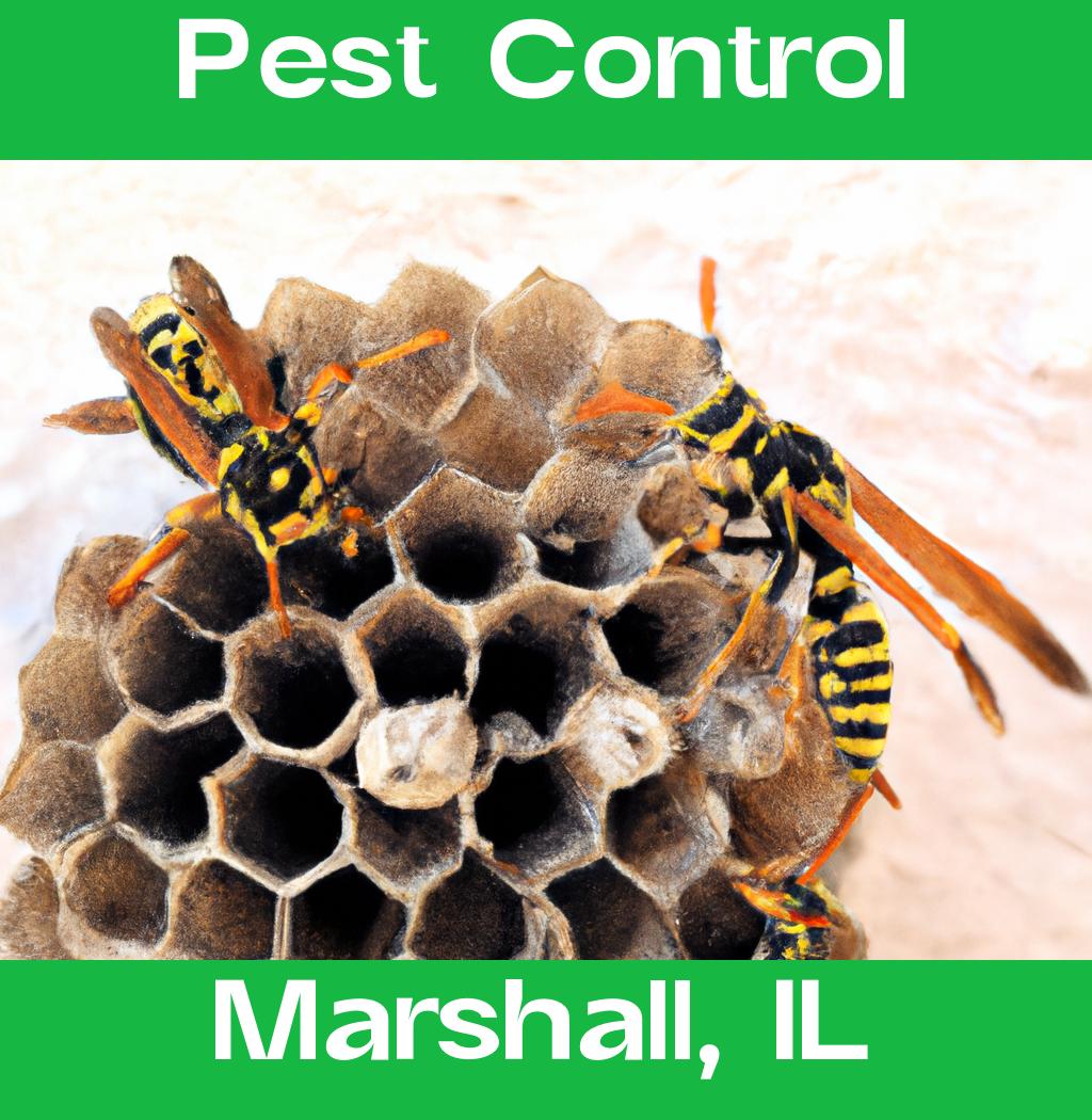 pest control in Marshall Illinois