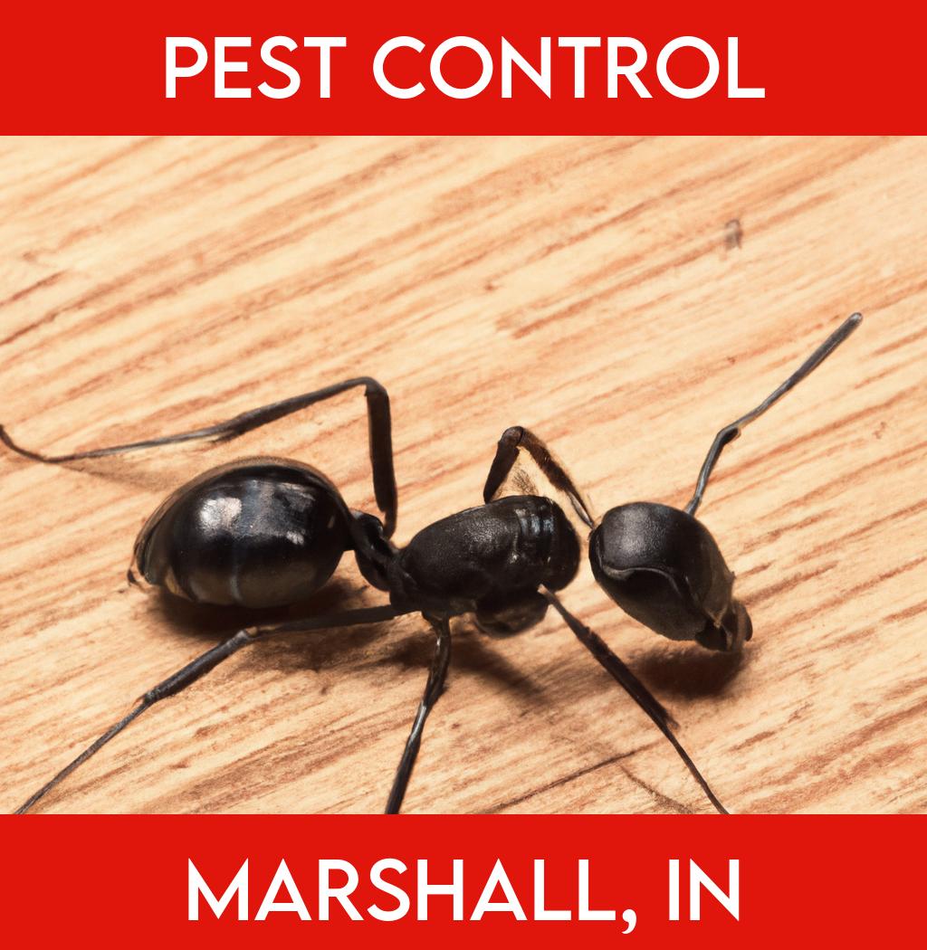 pest control in Marshall Indiana